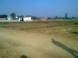 Residential Plot for Sale in Motihari, Champaran