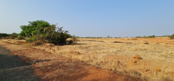  Agricultural Land for Sale in Oros, Sindhudurg