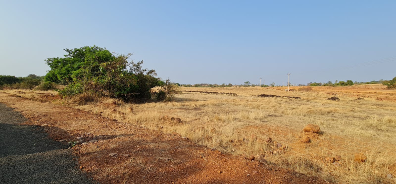 Agricultural Land 1400 Ares for Sale in Oros, Sindhudurg