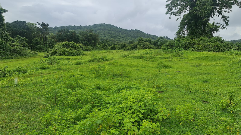 Agricultural Land 364000 Sq. Meter for Sale in