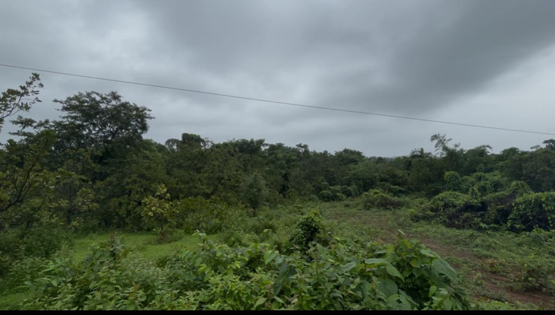  Residential Plot 4000 Sq. Meter for Sale in Sawantwadi, Sindhudurg