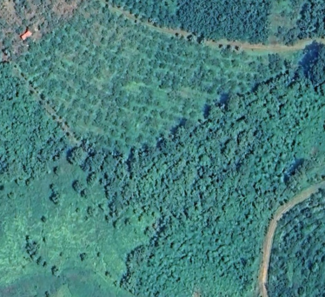  250000 Sq. Meter Residential Plot for Sale in Dodamarg, Sindhudurg