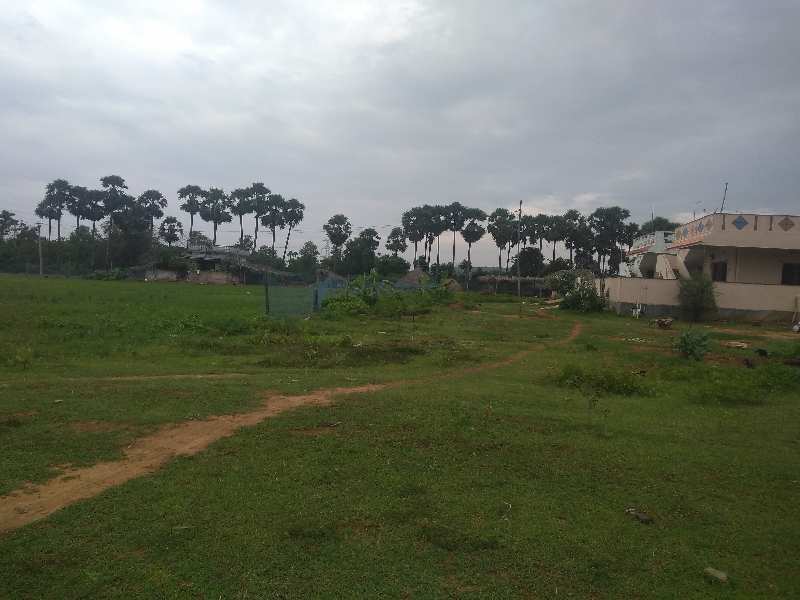 Agricultural Land 4 Acre for Sale in Achutapuram, Visakhapatnam