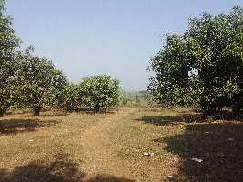  Agricultural Land for Sale in Silvassa Bhilad Road