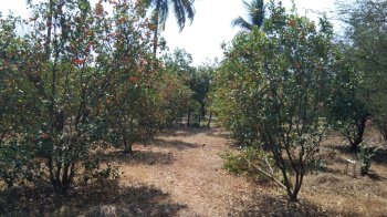  Industrial Land for Sale in Bhilad, Vapi
