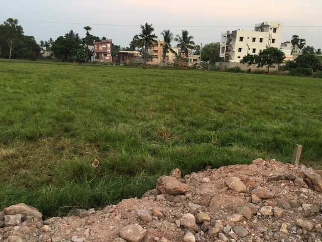 Residential Plot 720 Sq. Yards for Sale in Indrapalem, Kakinada