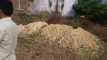  Residential Plot for Sale in Kanisi, Berhampur