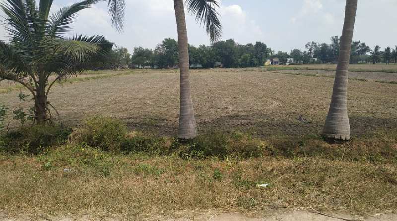 Agricultural Land 25 Cent for Sale in Koradacheri, Thiruvarur