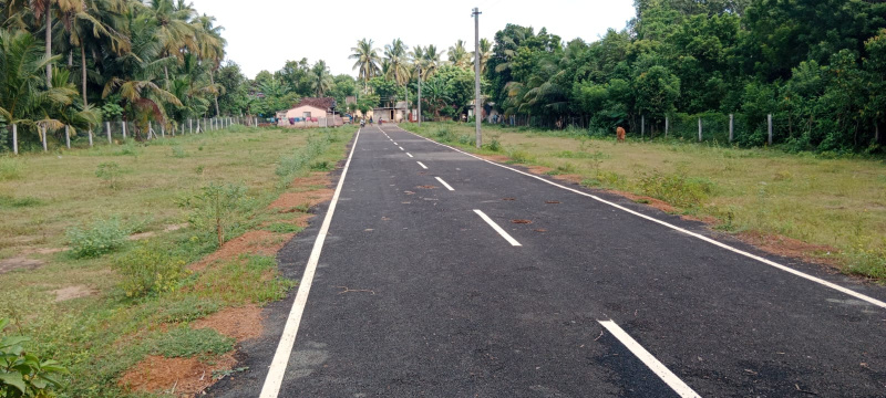  Residential Plot 1200 Sq.ft. for Sale in Kumbakonam, Thanjavur