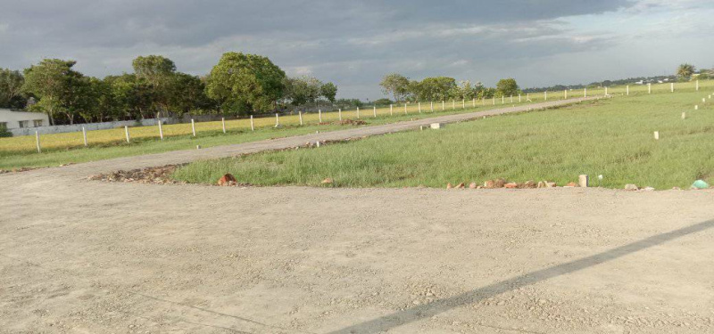  1000 Sq.ft. Residential Plot for Sale in Kumbakonam, Thanjavur