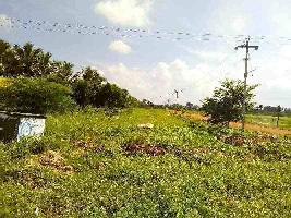  Commercial Land for Sale in Ring Road, Madurai