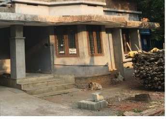 Residential Plot 15 Cent for Sale in Varadiyam, Thrissur