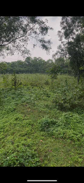  Agricultural Land 84 Acre for Sale in Arabinda Pally, Siliguri
