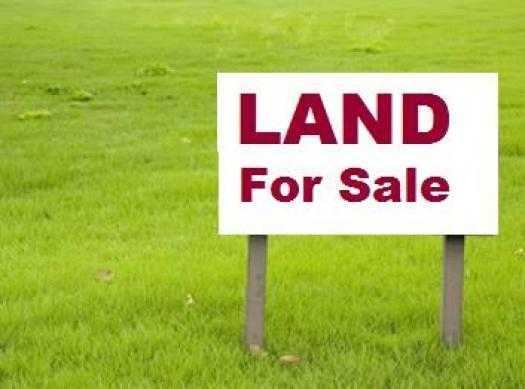  Industrial Land 45 Bigha for Sale in Oodlabari Jalpaiguri