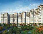 1 BHK 536 Sq.ft. Apartment for Sale in Patiala Road, Zirakpur