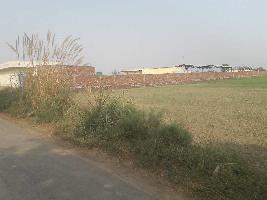  Industrial Land for Sale in Chhata, Mathura