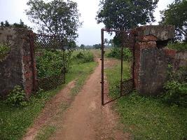  Commercial Land for Sale in Athagad, Cuttack