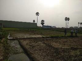  Commercial Land for Sale in Ranipur, Patna