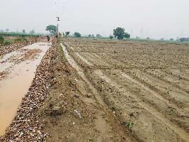  Agricultural Land for Sale in Parsvnath City, Sonipat