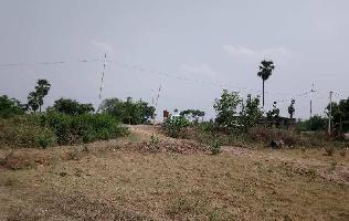  Residential Plot for Sale in Koilwar, Bhojpur