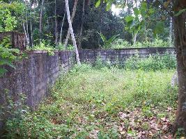  Residential Plot for Sale in Cherthala, Alappuzha