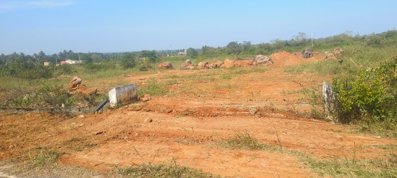  Industrial Land 10000 Sq.ft. for Sale in Kambainallur, Dharmapuri