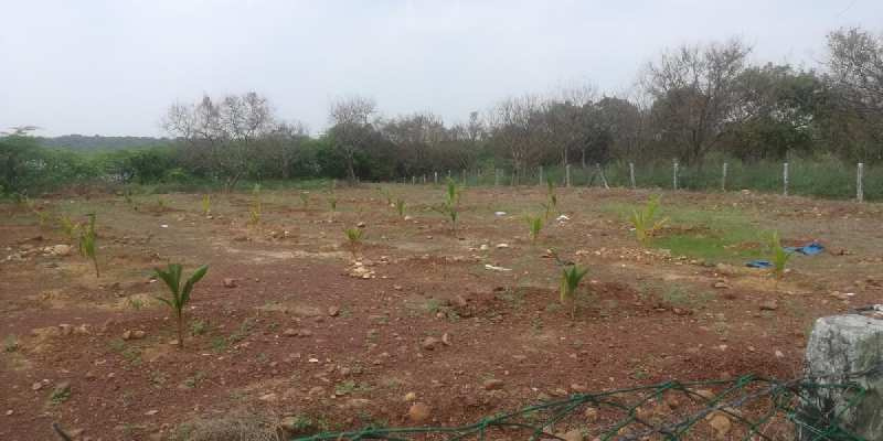  19000 Sq.ft. Agricultural/Farm Land for Sale in Poondi, Thiruvallur