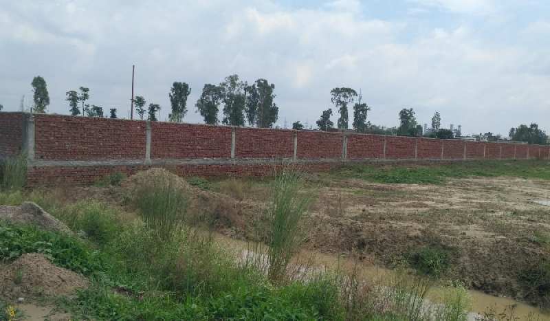 Agricultural Land 1 Bigha for Sale in Patholi, Agra