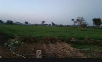  Agricultural Land for Sale in Mahaban, Mathura