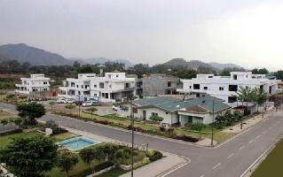  Residential Plot for Sale in Sahastradhara