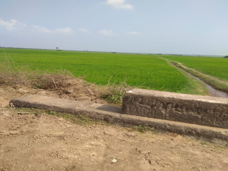  Agricultural Land 125 Cent for Sale in Acharapakkam, Chengalpattu