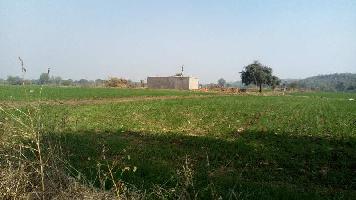  Commercial Land for Sale in Huzur, Bhopal