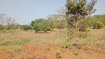 Agricultural Land for Sale in Bhivpuri, Karjat, Mumbai