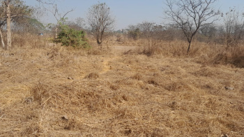  Agricultural Land for Sale in Murbad, Thane