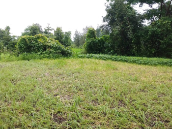  Agricultural Land for Sale in Shahapur, Thane