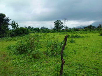  Agricultural Land for Sale in Murbad, Thane