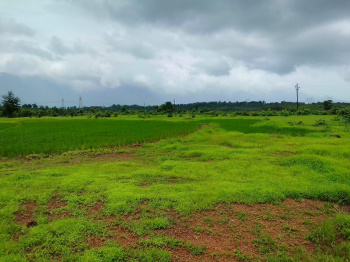  Agricultural Land for Sale in Murbad, Thane