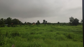  Agricultural Land for Sale in Murbad, Thane