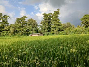  Agricultural Land for Sale in Murbad, Thane