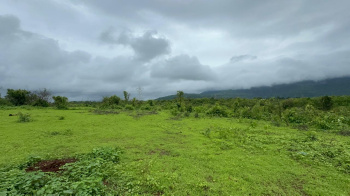  Agricultural Land for Sale in Mumbai Beyond Thane