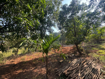 Agricultural Land for Sale in Murbad, Thane