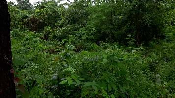  Agricultural Land for Sale in Murbad, Thane