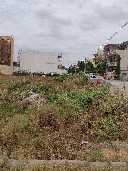 Residential Plot 8 Marla for Sale in Sector 9 Bahadurgarh