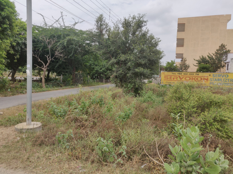  Residential Plot 8 Marla for Sale in Sector 9 Bahadurgarh