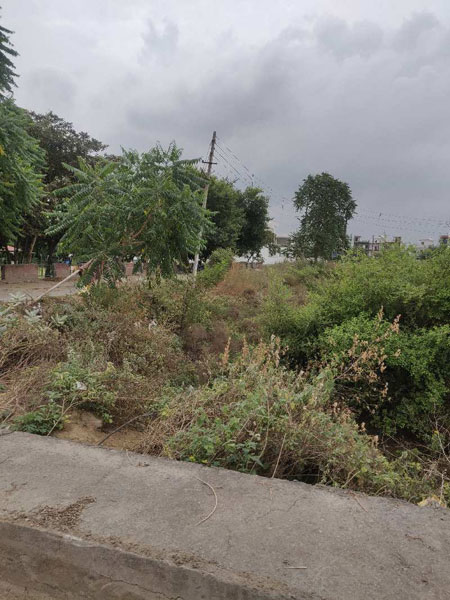  Residential Plot 100 Sq. Yards for Sale in Sector 9 Bahadurgarh