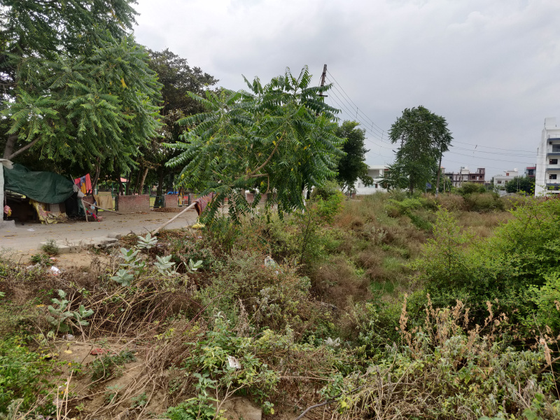  Residential Plot 4 Marla for Sale in Sector 10, Bahadurgarh