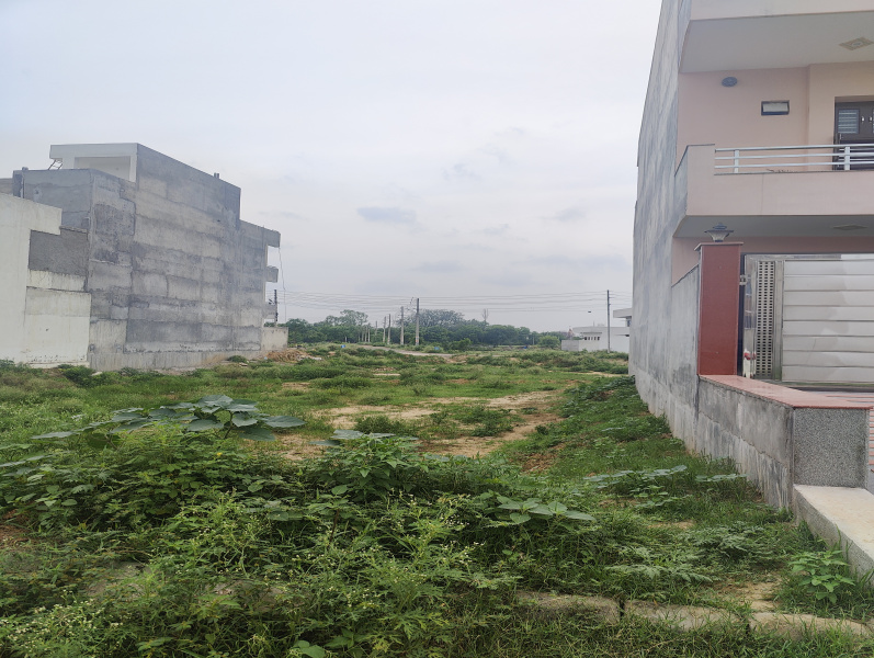  Residential Plot 14 Marla for Sale in Sector 10, Bahadurgarh