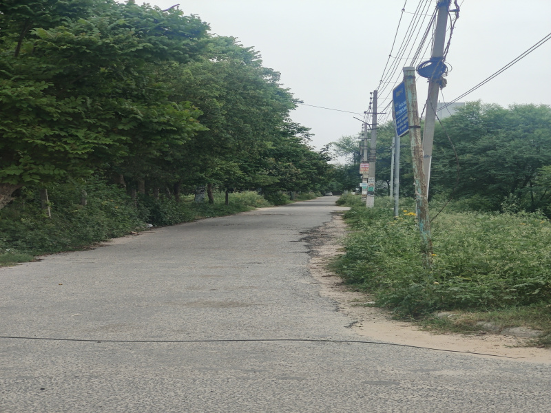  Residential Plot 500 Sq. Yards for Sale in Sector 10, Bahadurgarh