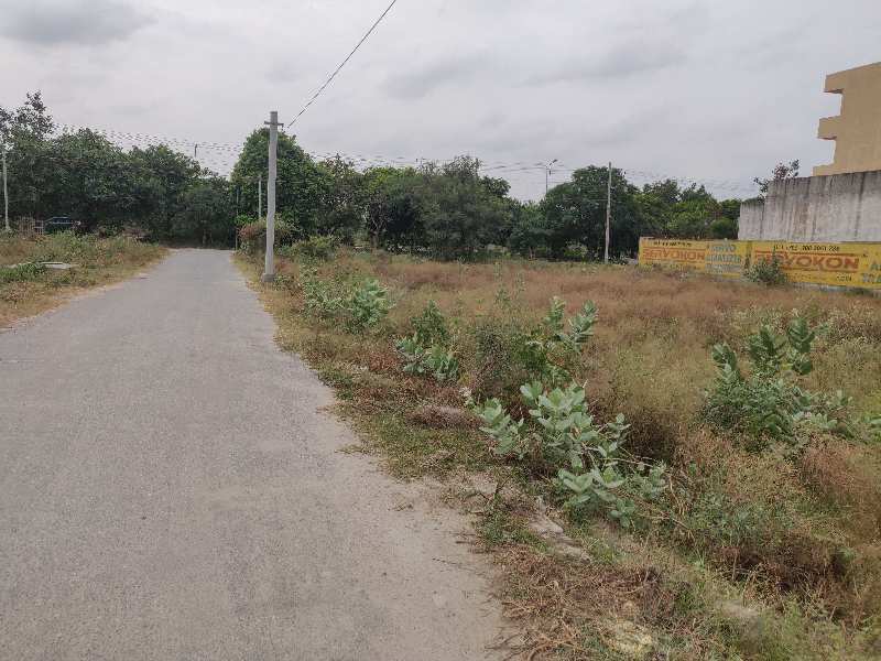  Residential Plot 162 Sq. Yards for Sale in Sector 11 Bahadurgarh