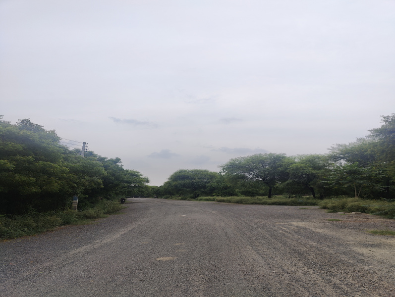  Residential Plot 194 Sq. Yards for Sale in Sector 11 Bahadurgarh